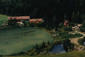 Ilmakuva 1993