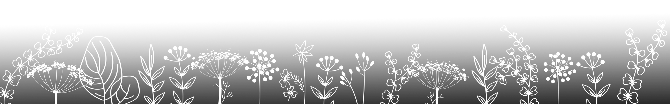 virrintila juhlapalvelut majoituspalvelut header bg4